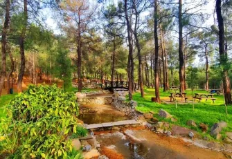 İzmir'in en iyi 10 piknik alanı