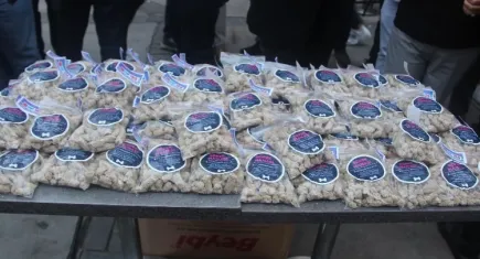 Can dostlar için mahalle temsilcileri