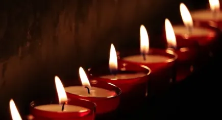 Muğla'da elektrik kesintisi - 23 Ekim 2023 Pazartesi