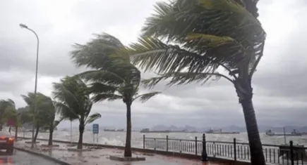 İzmir'de bugün hava nasıl olacak? İşte saatlik hava durumu 19.11.2023
