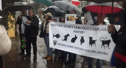Hayvan deney laboratuvarları kapatılmalı!