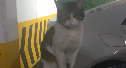 Katil dışarıda, Eros toprağın altında, biz isyandayız!
