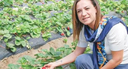 Efes Selçuk'tan 3 bin 622 vatandaşa tohum yardımı