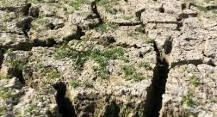 Ülkedeki 36 şehir iklim riski ile karşı karşıya!