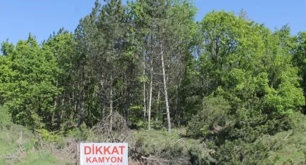 Eski uygulamaları arar hale geldik!