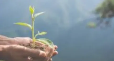 Ekoloji Birliği’nin yerel yöneticilerden talepleri
