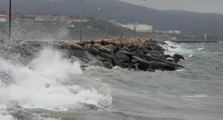 Meteorolojiden Ege için fırtına uyarısı