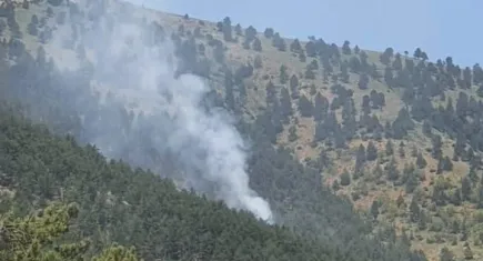 Adana'da orman yangını