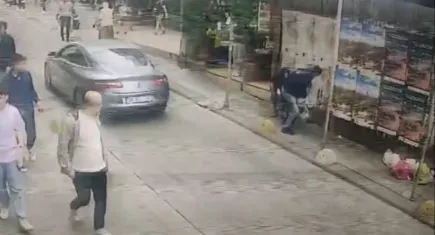 Ağızlıksız gezdirilen pitbull dehşet saçtı: Sokak kedisi kurtarıldı, köpek sahibi gözaltında