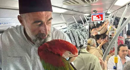 İstanbul'da metrobüste papağan sürprizi: 'Allah' diyerek seslendi