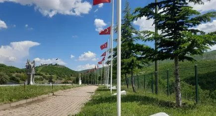 Bingöl 31 yıldır şehitlerinin acısını unutamıyor