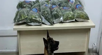 İzmir'de 10 kilo yasaklı madde ele geçirildi