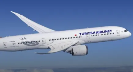 THY uçağı Romanya'da tehlike atlattı: Hasar alarak sefere devam etti
