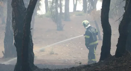 Denizli'de piknik ateşi yangına sebep oldu