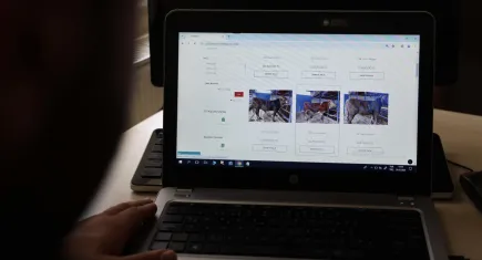 Dijital kurban pazarı kuruldu: Bilgisayar karşısında  yemek siparişi verir gibi kurbanlık hissesi alınıyor