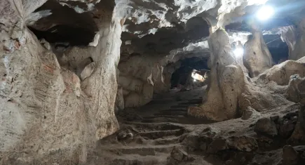 Türkiye'deki en yaşlı boz ayı kalıntısı Karain Mağarası'nda bulundu