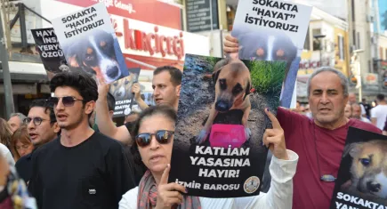 İzmir Barosu önünde sokak hayvanlarının hakları için toplanıldı