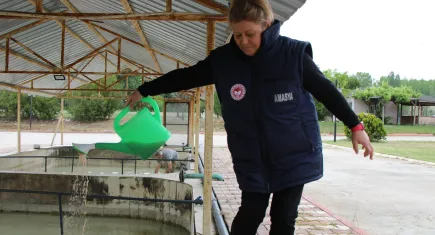 Denizden babam çıksa yerim diyenlere kötü haber : Bunun kilosu  2 bin 500 dolar!