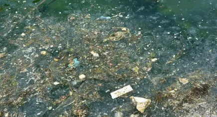 İstanbul'da deniz kirliliği vatandaşı canından bezdirdi