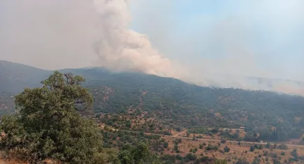 Manisa’da yangın: Uşak-İzmir tren seferleri durduruldu