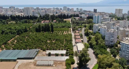 Antalya alarm veriyor: 93 bin futbol sahası büyüklüğünde tarım toprağı yok oldu