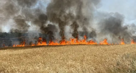Çanakkale’de korkutan yangın: Tarım arazilerinden ormanlık alana yayıldı