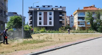 Çanakkale’de yabani otlar temizleniyor 