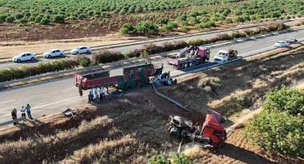 Kurbanlık boğaları taşıyan tır kaza yaptı: Kurbanlıklara araziye dağıldı