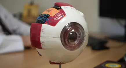 Miyopideki artış salgın olarak tanımlanmakta