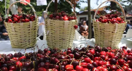 Bornova’da Özgür Özel’in katılımıyla Kiraz Festivali başlıyor