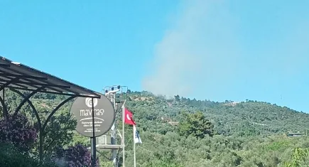 Çanakkale'de orman yangını