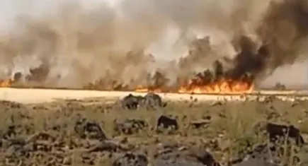 Diyarbakır’da 150 dönüm ekili buğday küle döndü