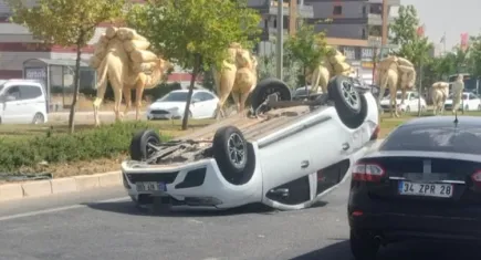 Mardin'de feci kaza: Çok sayıda yaralı var