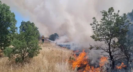 En sıcak yazı yaşayan Manisa'da yangın!