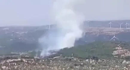 İzmir'de orman yangını