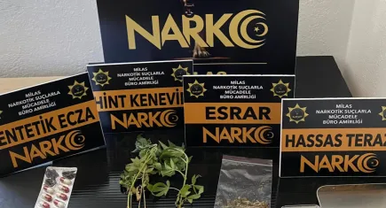 Zehir tacirlerine dev operasyon