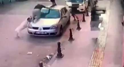 Gençler, köpek saldırısından aracın üzerine çıkarak kurtuldu