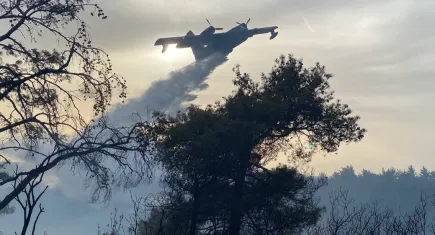 Çanakkale'deki orman yangını saatler sürdü