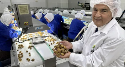 Kuru meyve sektöründe ihracat şampiyonları Ege'den