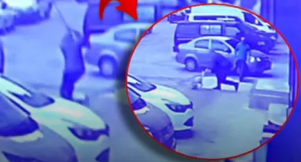 Artvin’de sokak köpeğine kürekle saldırıya büyük tepki