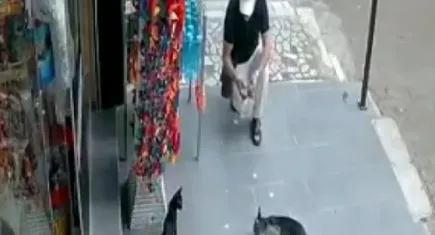 Kediyi önce sevdi sonra çalıp kayıplara karıştı