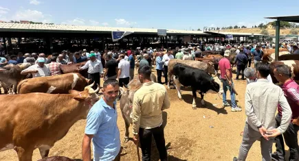 Deprem bölgesinde Kurban Bayramı hareketliliği yaşanıyor