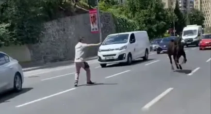 Kurbanlık dana firarda: Kağıthane’den Sarıyer’e…İki ilçe değiştirdi, trafiği birbirine kattı