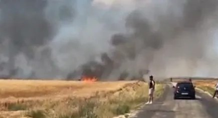 20 bin dönümlük alanda 38 ton buğday kül oldu