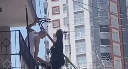 Adana'da Kurban Bayramı hareketli geçiyor: Damdan atlayan kurbanlık keçi elektrik tellerine takıldı