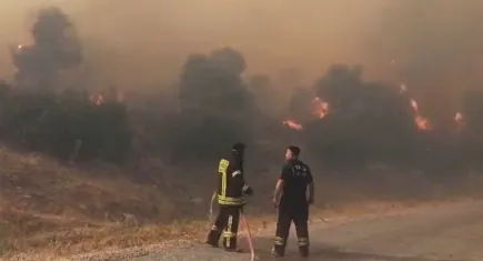 Aydın’da orman yangını