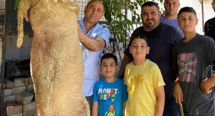 Belediye başkanı kendi kurbanını kendi kesti
