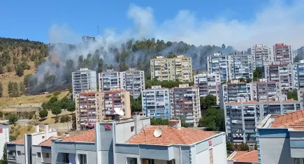 Aliağa’da orman yangını