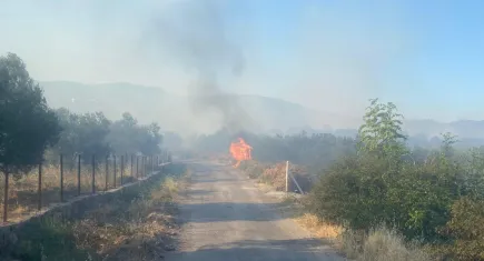 Ayvacık'ta orman yangını