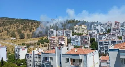 Buca, Bornova, Çiğli ve Dikili'deki yangınlar kontrol altına alındı!